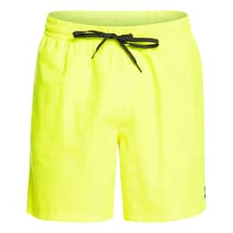 Quiksilver Men's Everyday 17" Volley Swim Shorts