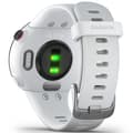 Garmin Forerunner® 45S GPS Running Watch alt image view 17