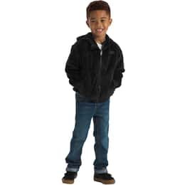 The North Face Little Boys' Osito Full Zip Hoodie