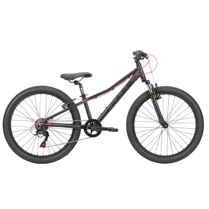 haro 20 inch mountain bike
