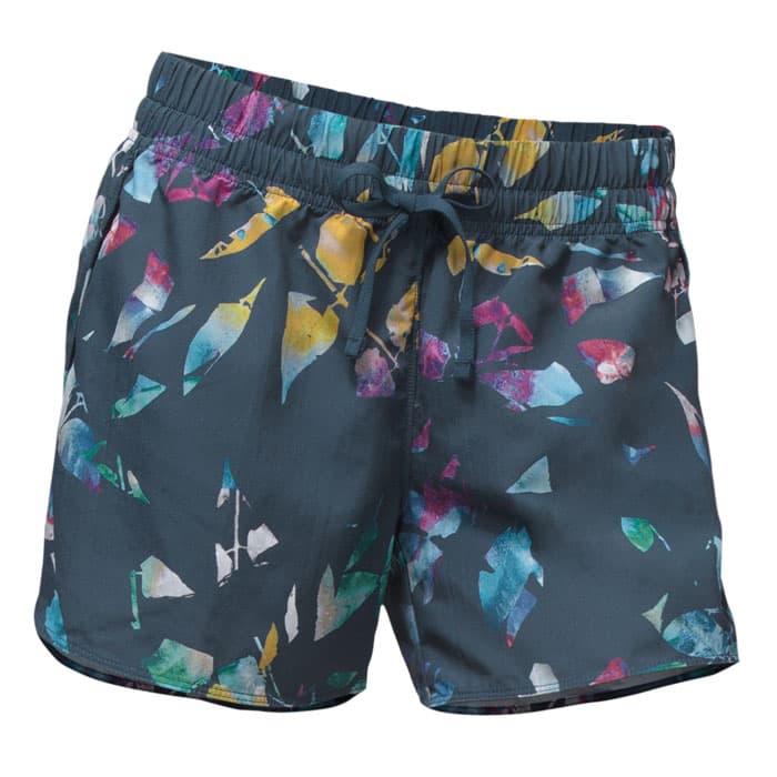 the north face classic v shorts