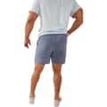 Chubbies Men's Ice Caps 6" Performance Shorts alt image view 3