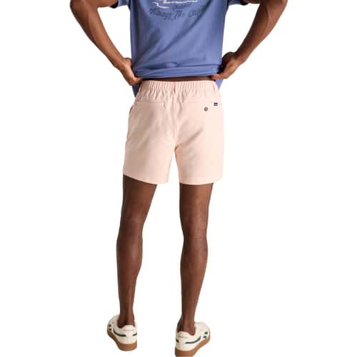 Chubbies Men's Peach Fuzzes 6" Lined Everywear Performance Shorts" alt image view 3