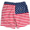 Chubbies Boys' The Mini 'Mericas Casual Shorts alt image view 2