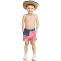 Chubbies Boys' The Mini 'Mericas Casual Shorts alt image view 4