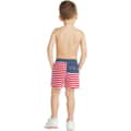 Chubbies Boys' The Mini 'Mericas Casual Shorts alt image view 5