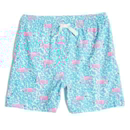 Chubbies Boys' The Mini Mingos Swim Shorts