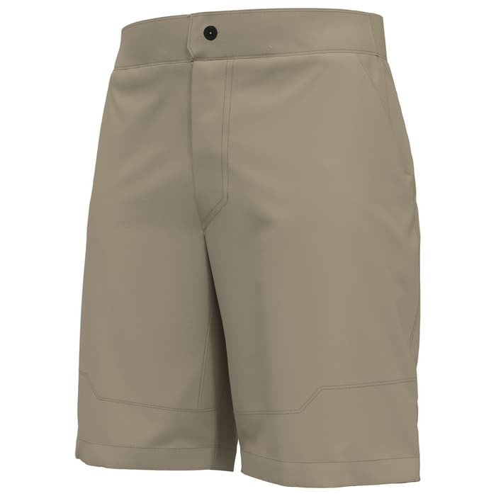 north face paramount active shorts