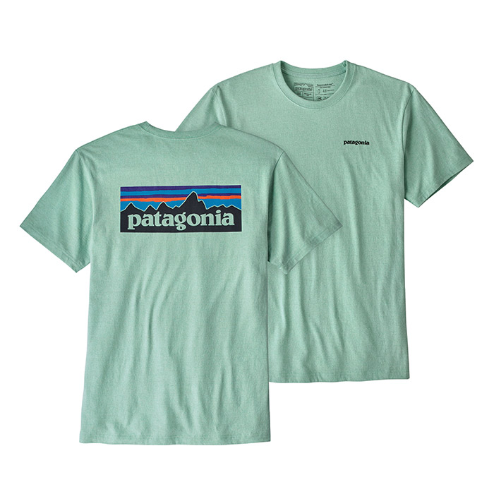 patagonia dry fit shirt