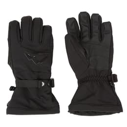 Gordini Men's Fall Line IV Gloves