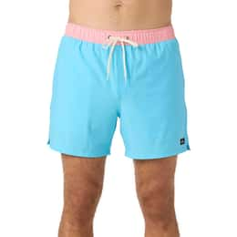 O'Neill Men's Hermosa Light Lined 15" Volley Shorts