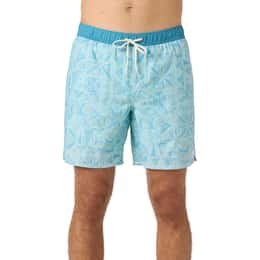 O'Neill Men's Hermosa Light Lined 17" Volley Shorts