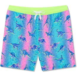 Chubbies Boys' The Dino Delights Swim Trunks