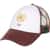 Color Option: Root Beer All About Sol Mini