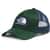 Color Option: Pine Needle
