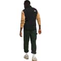 The North Face Men's Apex Bionic 3 Vest alt image view 2
