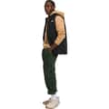The North Face Men's Apex Bionic 3 Vest alt image view 3