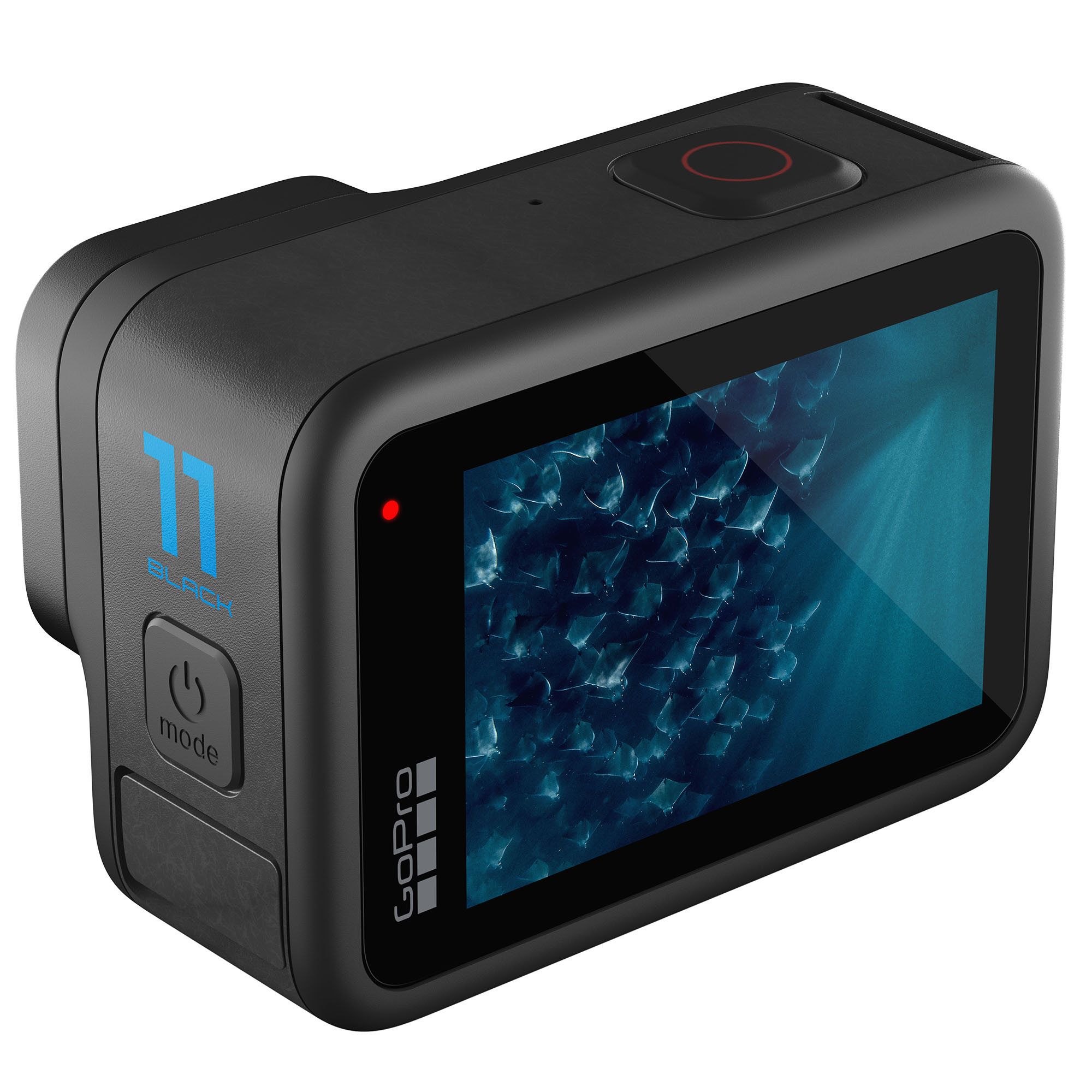 GoPro Hero11 おまけSanDiskExtreme256GB-