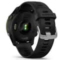 Garmin Forerunner® 255 Music GPS Smartwatch alt image view 8
