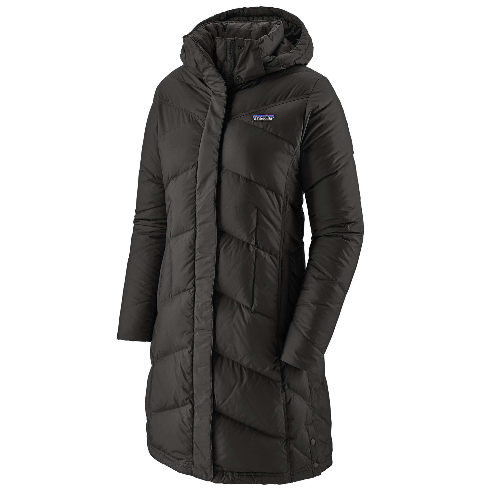 Patagonia Women's Down With It Parka