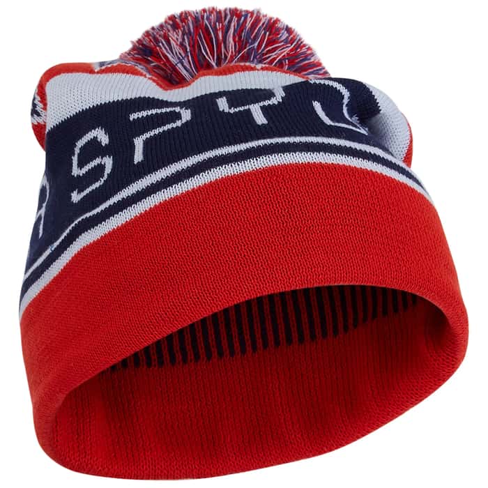 Spyder Men's Icebox Beanie