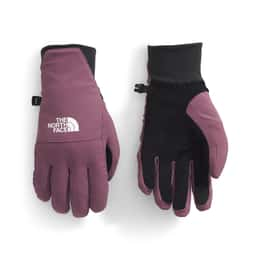 The North Face Women's Shelbe Raschel Etip Gloves