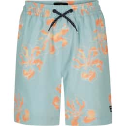 Billabong Boys' Sundays Layback Volley Swim Trunks
