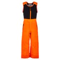 Spyder Toddler Boy&#39;s Expedition Snow Pants