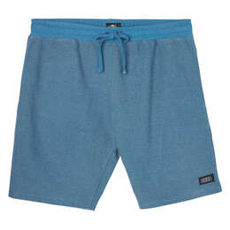 O'Neill Men's Bavaro 19" Solid Shorts