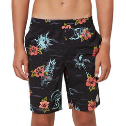 O'Neill Boy's Frothing Volley Boardshorts