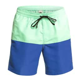 Quiksilver Men's Butt Logo Volley 17" Boardshorts