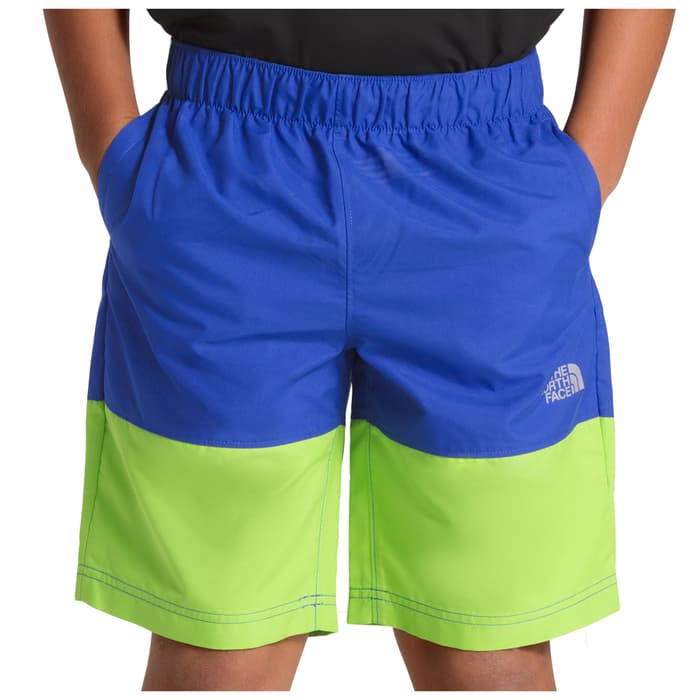 the north face classic v shorts