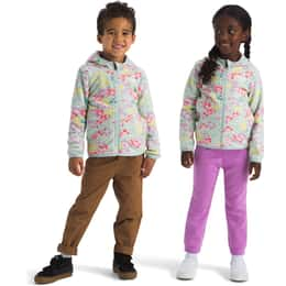 The North Face Little Girls' Glacier Full Zip Hoodie