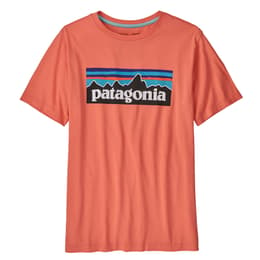 Patagonia Boys' Regenerative Organic Certified™ Cotton P-6 Logo T Shirt