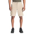 The North Face Men&#39;s Paramount Active Conve
