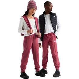The North Face Kids' TNF Performance Fleece Joggers