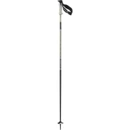 Salomon Polar Pro S3 Ski Poles