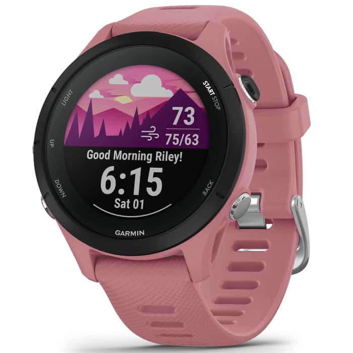 Garmin Forerunner® 255S GPS Smartwatch
