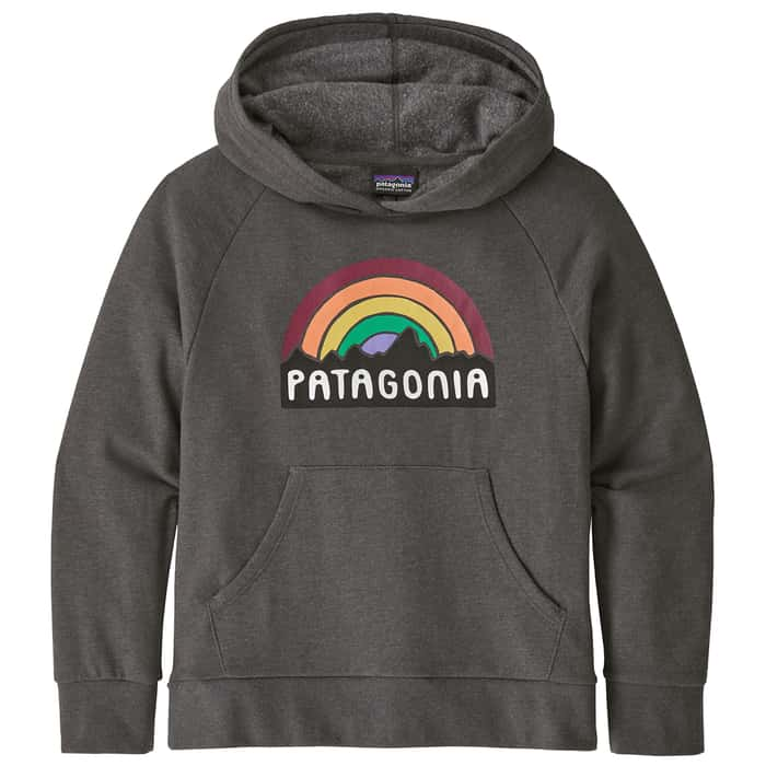 Patagonia sale rainbow hoodie