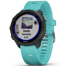 Garmin Forerunner® 245 Music GPS Running Smartwatch