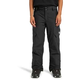 DC Women's Nonchalant Insulated Snow Pants