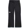 The North Face Men's Descendit Pants alt image view 4