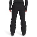 The North Face Men's Freedom Insulated Pants alt image view 1