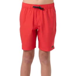 O'Neill Boys' Lennox Hermosa 16" Shorts