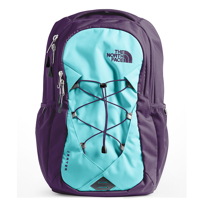 purple and grey north face backpack