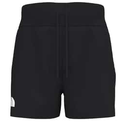 The North Face Men's Flight Stridelight Shorts