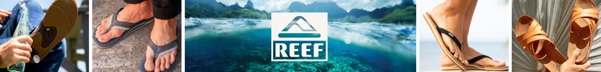 reef