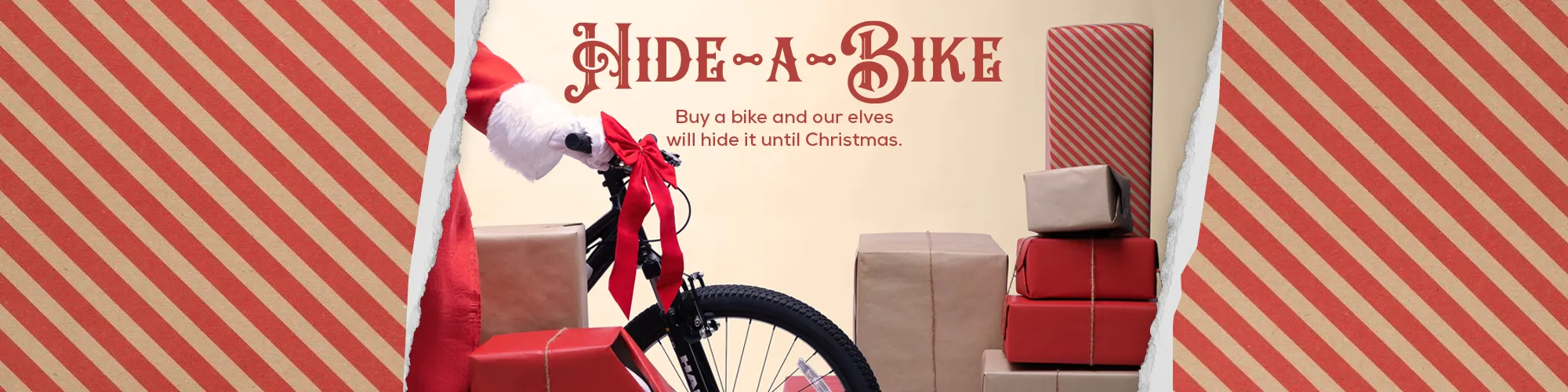 Hide A Bike