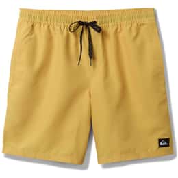 Quiksilver Men's Everyday Solid 15 in Swim Trunks