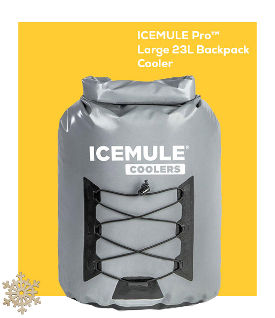 ICEMULE Pro™ Large 23L Backpack Cooler